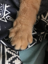 Load image into Gallery viewer, $5 product!
